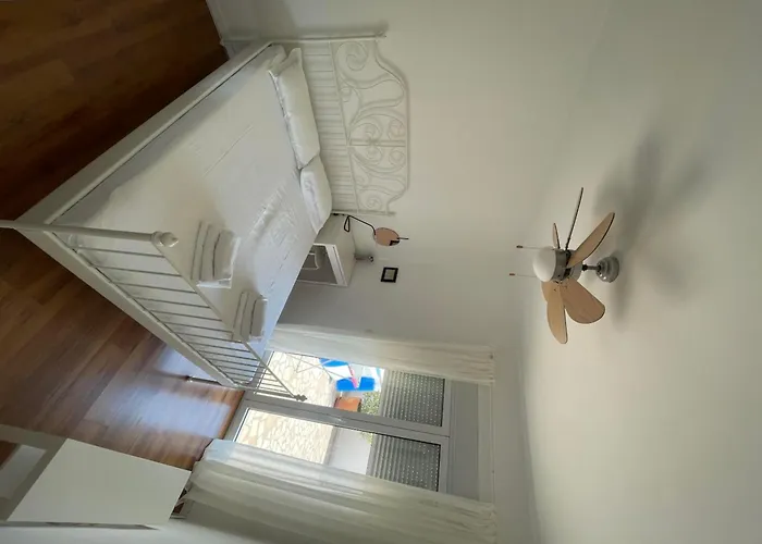 Leonardo * Примоштен